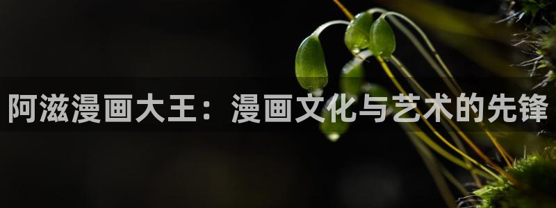 樱花漫画广而告之